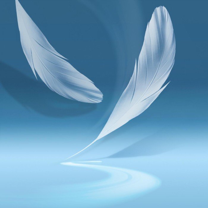 galaxy note 2 feather wallpaper