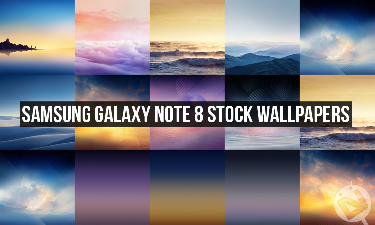 Free download Galaxy Note 8 Stock Wallpaper 2018 Live Wallpaper HD  [320x512] for your Desktop, Mobile & Tablet | Explore 82+ Samsung Galaxy Note  8 Wallpapers | Samsung Galaxy Note 3 Wallpaper,