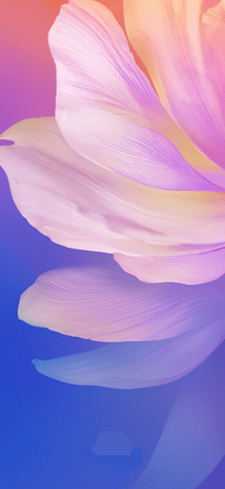 Download Vivo V17 Stock Wallpapers (Full HD+) - DroidViews