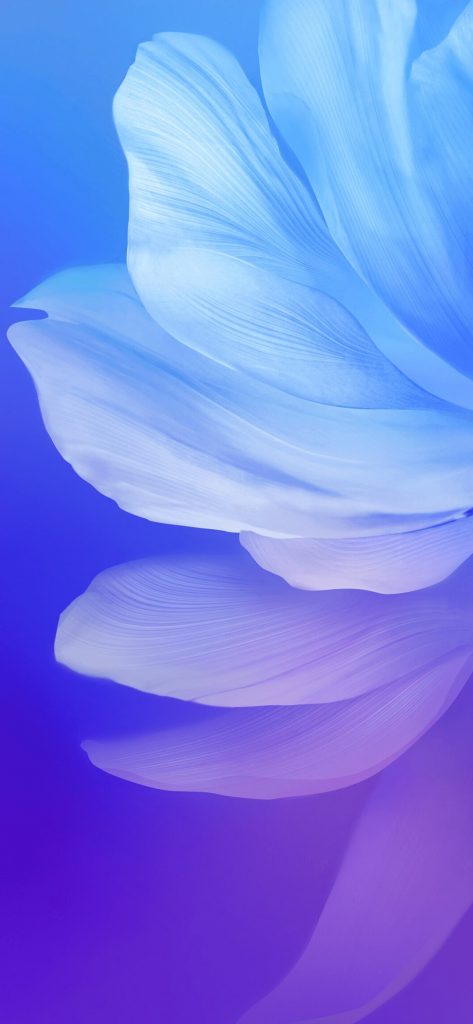 Download Vivo V17 Stock Wallpapers (Full HD+) - DroidViews