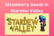 Where to Find Strawberry Seeds and Their Benefits in Stardew Valley